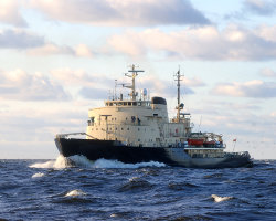 Marine